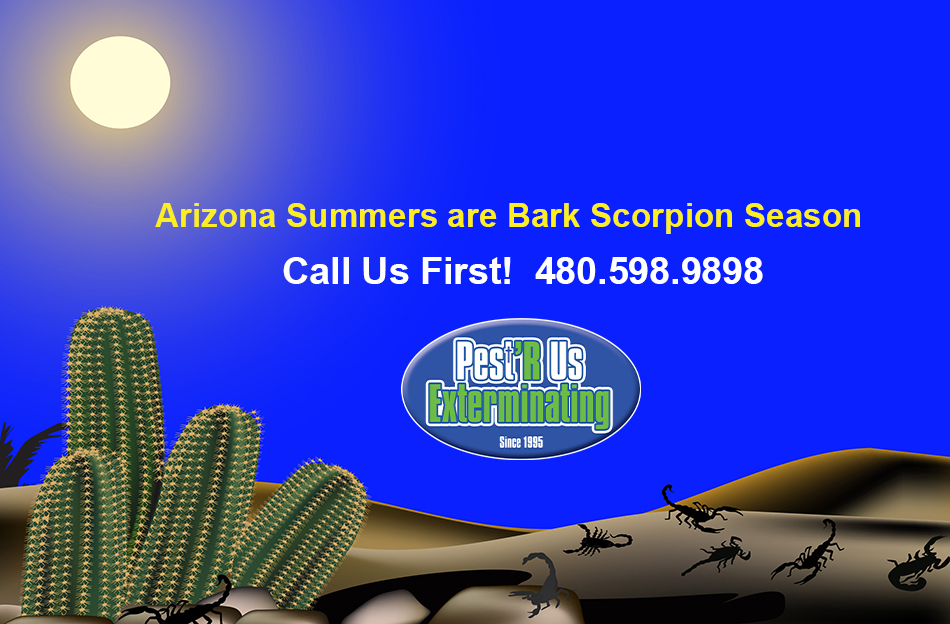 3 Tips to Help Gilbert AZ Home Owners Battle Summer Pests Pest R Us